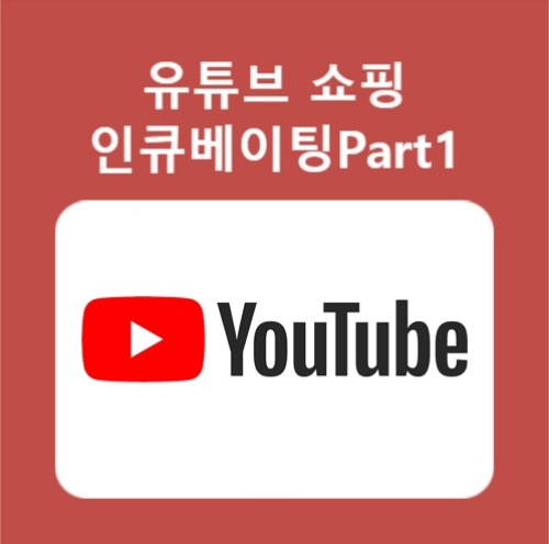 유튜브 쇼핑 인큐베이팅 Part 1